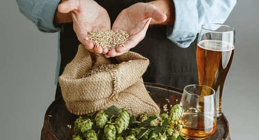 la levure de bière et ses bienfaits capilaires