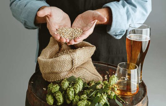 la levure de bière et ses bienfaits capilaires
