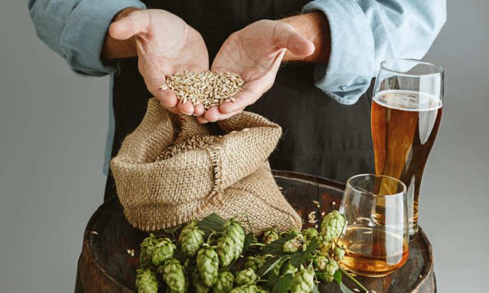 la levure de bière et ses bienfaits capilaires