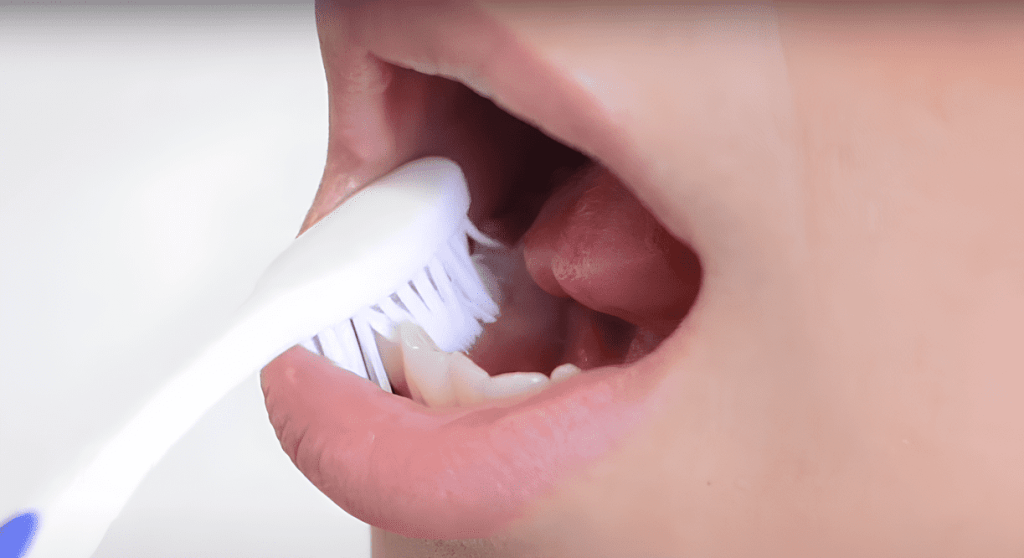 femme qui se brosse les dents, la surface de mastication